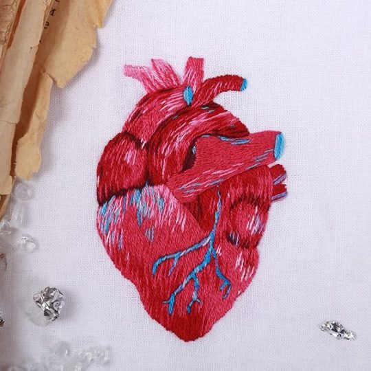 Anatomisches Herz sticken | über Zur Lila Pampelmuse